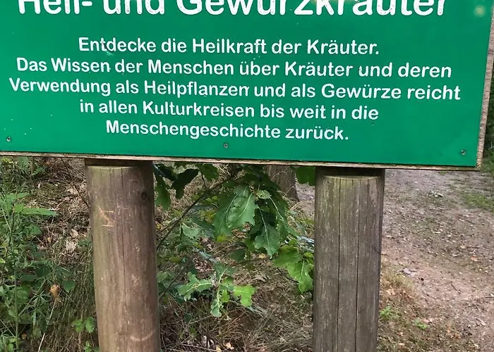 Apartmentanlage Am Kellerberg Zandt