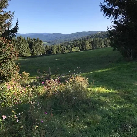 Lejlighedshotel Apartmentanlage Am Kellerberg Zandt