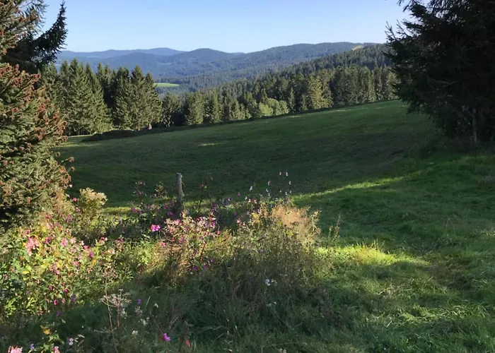 Lejlighedshotel Apartmentanlage Am Kellerberg Zandt